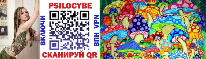 купить   Иннополис  Псилоцибиновые грибы мицелий 